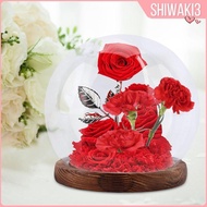[Shiwaki3] Glass Cloche Globe Dustproof Glass Cover Decorative Terrarium Home