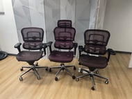 Ergohuman 人體工學辦公椅 Ergonomic Mesh Office Chair
