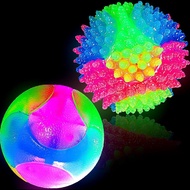 2 Pieces 2.5" Light up LED Dog Toy Ball Elastic Flashing Glowing Interactive Toy Pet Color Ball Boun