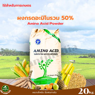 กรดอะมิโนรวม 50% Amino Acid Powder ทางการเกษตร บรรจุ 20 กิโลกรัม