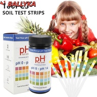 BALLYKA 100pcs Acidity Test Strips Water Test Swimming Pool Water Hardness Alkalinity Health Monitor