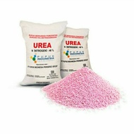 Ready Pupuk Urea 50Kg