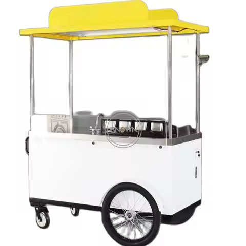 OEM Mobile 3 Wheel Ice Cream Cargo Bike Electric Solar Vending Tricycles Food Trike Cooler Refrigera
