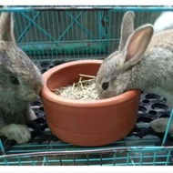 RABBIT| Rabbit Food Container Pottery