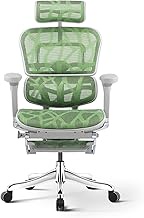 HDZWW Ergonomic Office Chair with Pedal, Luxury Breathable Mesh Executive Chairs with 4D Armrests, Sedentary Comfort Computer Desk Chair (Color : Green)