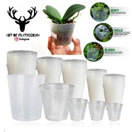 Transparent Clear Aroid Pot Transparent Nursery Pots Plastic Orchid Pot Pasu Bunga Plastic Flower Po