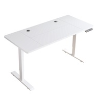 BilBil  63 inches 1.6M Electric Standing Desk Single Motor Desk  Rectangle Type Height adjustable ta