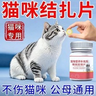 Does Not Hurt Female Cats Cats 4.1 Pregnant Suppress Cats Cats Universal Type Ligated Cats Howling 4