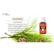 Young Living YL Cedarwood 100% Pure Essential Oil 15ml