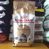 Royal Canin Mainecoon Adult 2 kg