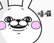 【可7-11、全家繳費】台灣限定貼圖 － Rabbit100%超會動貼圖。