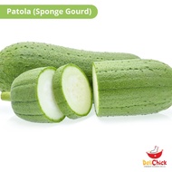 Patola (Sponge Gourd) 500g