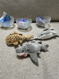 《鯊魚們》日本扭蛋 。海洋生物毛公仔 。掛件 。鎖匙扣｜鋸齒鯊｜鯊魚
