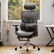 Office Chair Manufacturer Hollow Computer One-Piece Chair Gaming Ergonomic Chair Live Batch Durable 