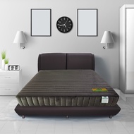 VENTRY ที่นอนยางพาราธรรมชาติ 100% | 7 Zone | รุ่น PRIDA Posh | หนา 8 นิ้ว | แถมฟรี! หมอนหนุน + หมอนข