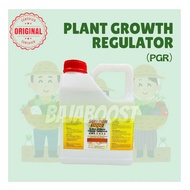 Sun PGR 4LITER (Hormon / Penggalak Buah Pokok Nanas)
