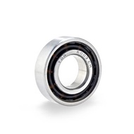 TDR Wheel Bearing 6004 TN9/CM RS1