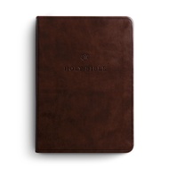 ESV Large Print Value Compact Bible TruTone, Chestnut