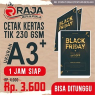 CARTON 230 GSM DIECUT/ART PAPER A3+ PACKAGING