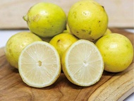 Lemon Jeruk | Lemon lokal 1kg | Lemon Lokal | Jeruk Lemon Segar | Lemon | Bakuljajan