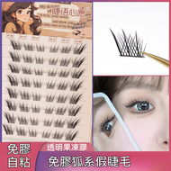 其他品牌 - 免膠假睫毛 假睫毛 自黏假眼睫毛 自然仿真眼睫毛 假眼睫毛 眼妝 狐系 01