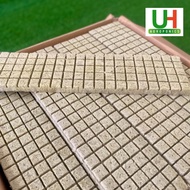 ROCKWOOL CUBE | SEMAI BENIH | HIDROPONIK