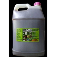 PROMOSI (10liter) EM4 EM PLUS MINUMAN ORGANIC + BAKTERIA BAIK