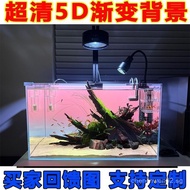 Internet Celebrity Stream Tank Gradient Color Fish Tank Background Sticker Tropical Rainforest Style