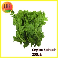 [LHH] Ceylon Spinach 帝王苗 200g± [Vegetable]