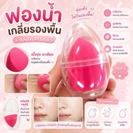 Foundation Sponge Pink