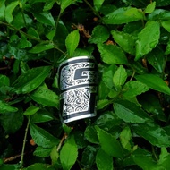 Bmx GT Bike Head Badge Stainless Steel Emblem