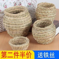 Penghantaran percuma sarang burung, sarang burung jerami, sarang burung kakak tua, sarang burung, ko