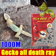 20 years without a gecko hb lizard repellent racun cicak racun cicak paling berkesan lizard killer A