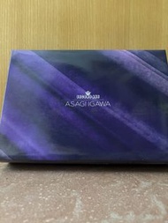 對魔忍 Second Axe Asagi Igawa 井河淺蔥