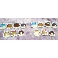 BANGTAN FACE IN THE SEOM LAMINATED STICKERS - BT21 HEADBAND