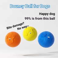 Dog Toys Bouncy Ball Durable and Chew-Resistant Pet Latex Bouncy Ball Floating Toy Ball