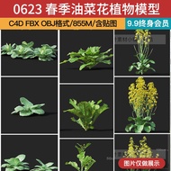 toy mainan masak masak 模型 toys veet mainan Max c4d obj fbx Vegetable Kale Rapeseed Cauliflower Seedl