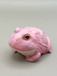 🩷粉紅青蛙🩷🐸，BANDAI Te-nori Friends手心掌上動拗造型Part6兩棲爬蟲青蛙空心膠公仔盒玩#盒蛋#豹紋守宮#豹紋蜥#藍舌蜥蜴#饅頭蛙#白氏樹蛙#草莓角蛙#麝香葡萄角蛙#變色龍#蠑