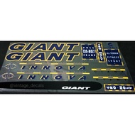 Giant Innova AFS Bike decals sticker