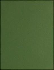 Paper Accents Cardstock 65 lb Parrot Stash Builder 8.5" x 11"