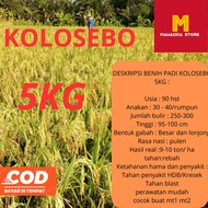 BENIH PADI UNGGUL KOLOSEBO, 5KG