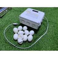 AG Egg Incubator Controller