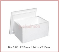 Styrofoam Box 5kg Size P. 37cm L. 24cm T. 16cm/Fish coller/ Box Penyimpanan Frozen Food/Es Batu/ Gab