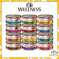 Wellness Cat Core Signature Selects Canned Food
