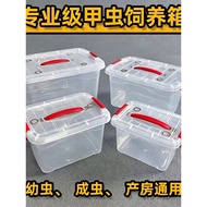 Beetle Breeding Box Unicorn Shovel Beetle Professional Reptile Box Pocket Worm Breathable Breeding B