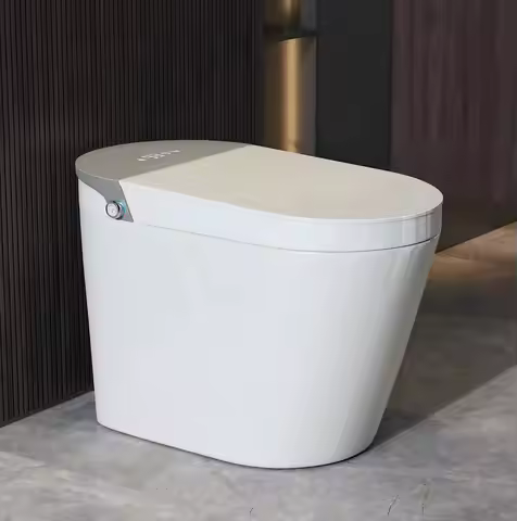 Smart Heated Bidet Toilet Smart Toilet, One Piece Bidet Toilet for Bathroom, Toilet with Heated Bide
