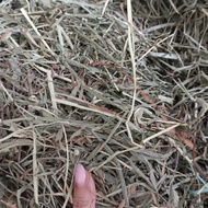 Timothy Hay 2nd Cut 1kg – Hay & Harmony