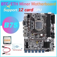 B75 12 Card GPU BTC Mining Motherboard+G1610 CPU+Thermal Grease+SATA Cable 12XUSB3.0(PCIE) Slot LGA1155 DDR3 RAM MSATA