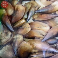 Kerang Kampak / Scallop Live (Hidup) Seafood Segar