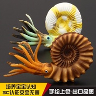 Children Solid Simulation Ancient Animal Toy Model Cold Warriors Parrot Snail Ammonite Snake Stone I